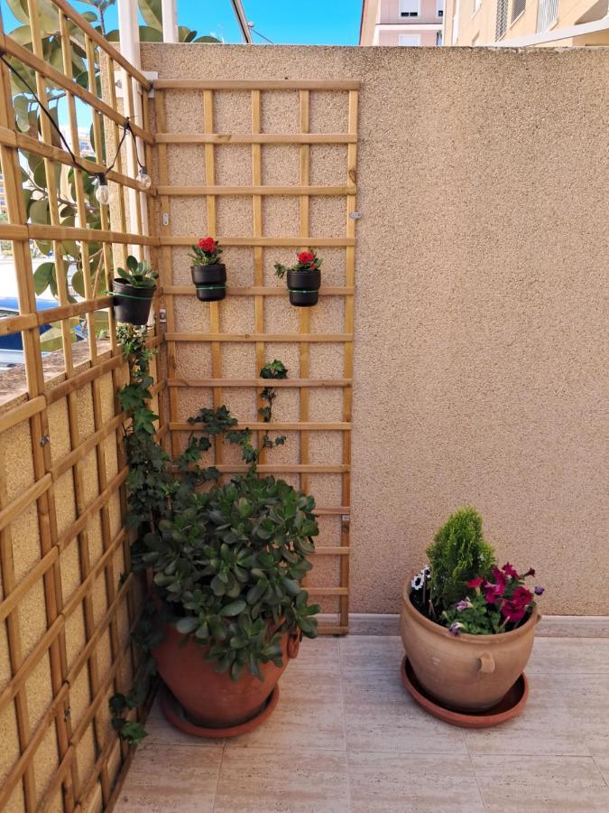 Apartamento Dama De Guardamar Apartment Guardamar del Segura Ngoại thất bức ảnh